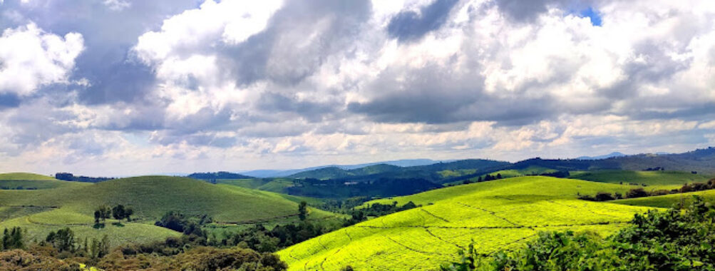 Kibira National Park Travel Forum Reviews