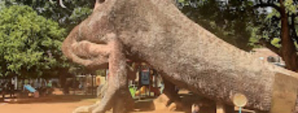 Kiddies Paradise Children's Park Travel Forum Reviews