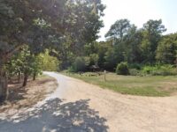 Kincsesláda Travel Forum Reviews