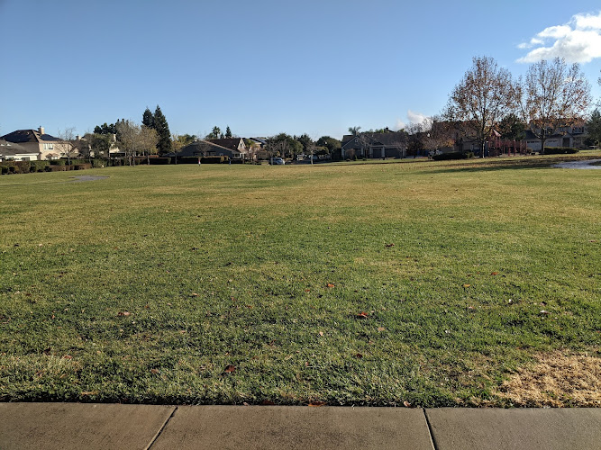 King Park