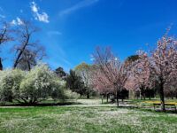 King Petar Krešimir IV Park Travel Forum Reviews