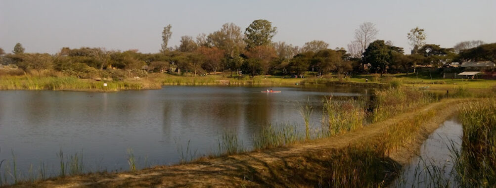 Kingfisher Park Travel Forum Reviews