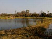 Kingfisher Park Travel Forum Reviews