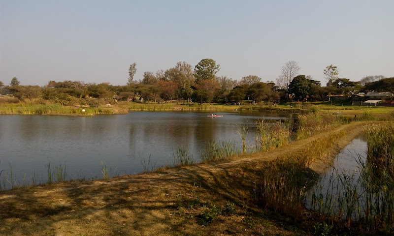 Kingfisher Park