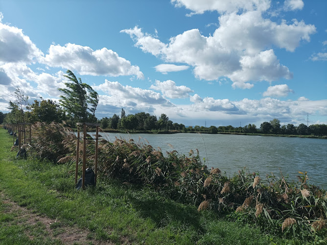 Kings' Park