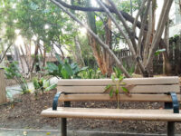 Kings Road Park Travel Forum Reviews