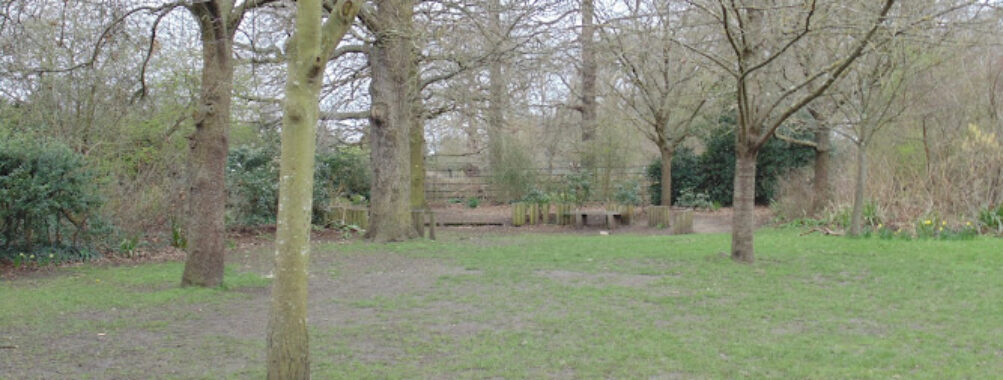 Kingston Gate Garden Travel Forum Reviews