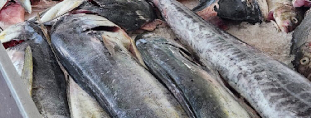 Kingstown Fish Market Travel Forum Reviews
