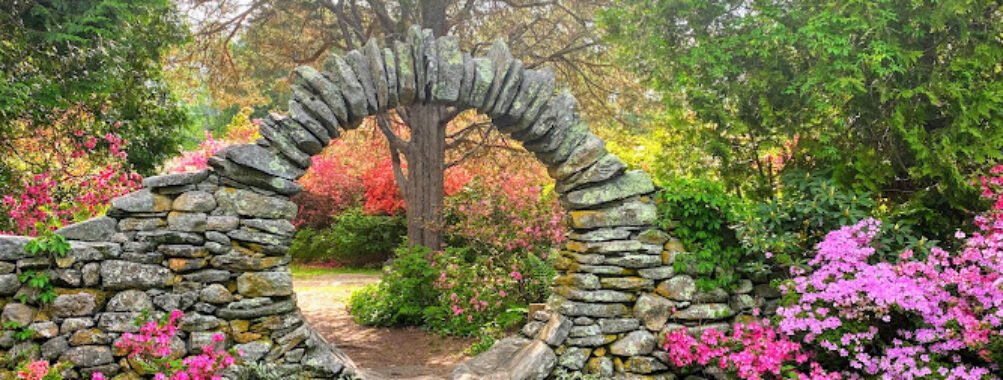 Kinney Azalea Gardens Travel Forum Reviews