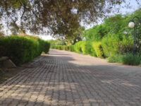 Kirkuk Park Travel Forum Reviews