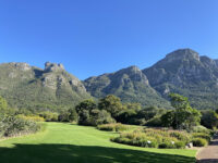 Kirstenbosch National Botanical Garden Travel Forum Reviews
