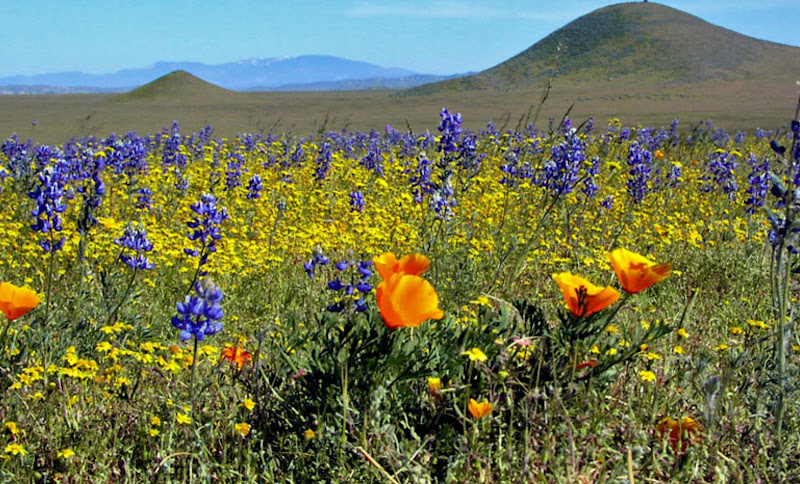 Kitulo National Park