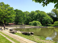 Kiyose Kanayama Green Space Park Travel Forum Reviews