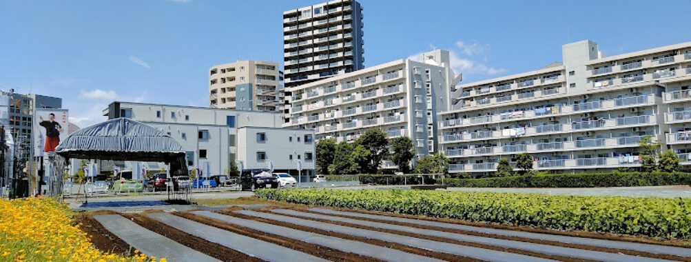 Kiyose Travel Forum Reviews