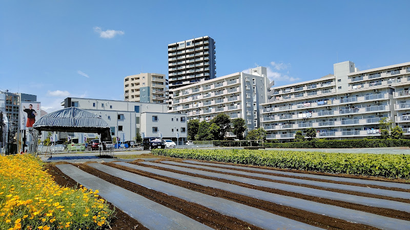 Kiyose