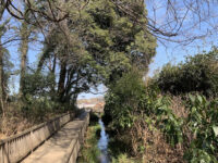 Kiyose Seseragi Park Travel Forum Reviews