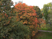 Klockgjutarparken Travel Forum Reviews