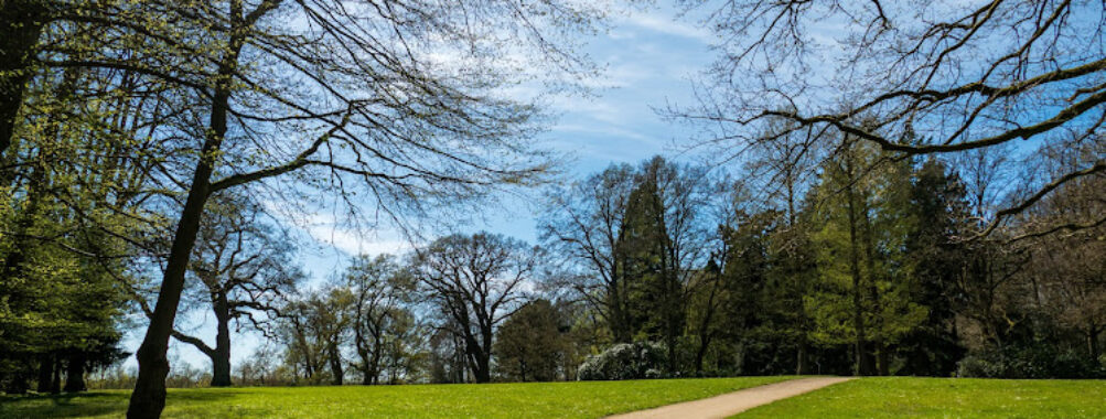 Knoops Park Travel Forum Reviews