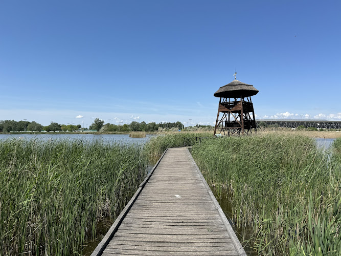 Kócsag Torony