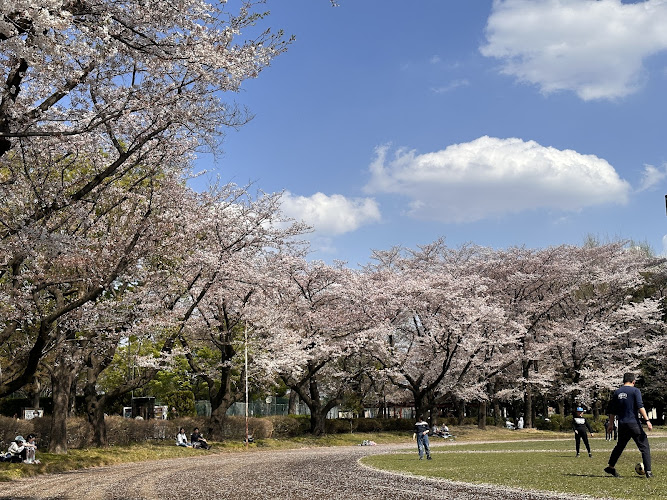 Kodaira City Central Park