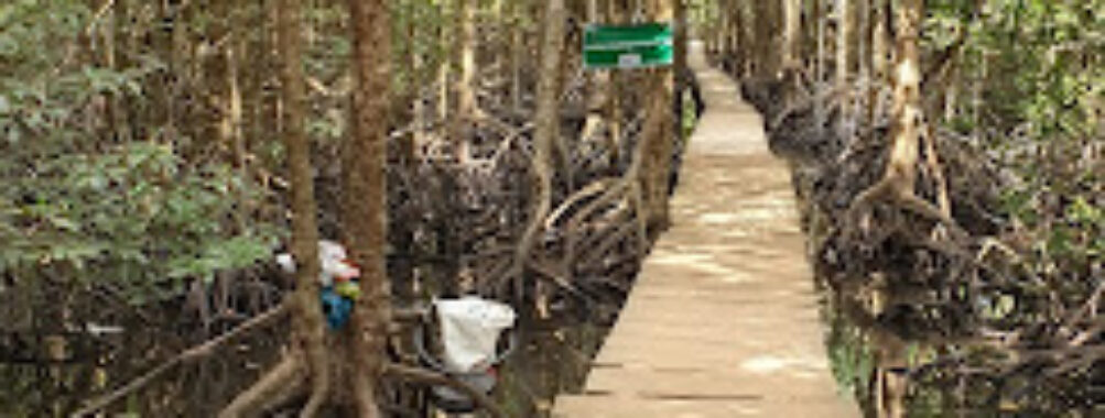 Koh Kong Wonders & Excursions Travel Forum Reviews