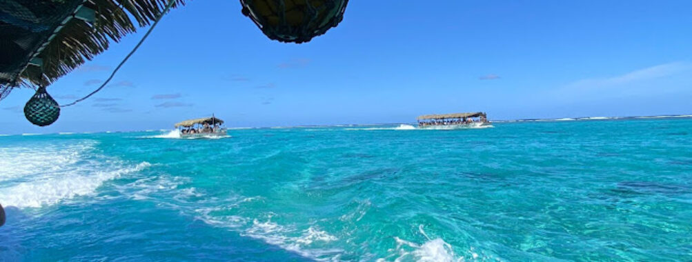 Koka Lagoon Cruises Travel Forum Reviews