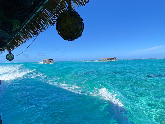 Koka Lagoon Cruises