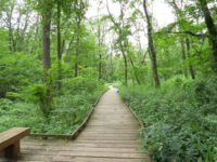 Komiya Park Travel Forum Reviews