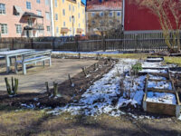 Konsistorieparken Travel Forum Reviews