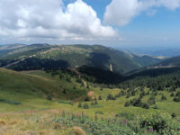 Kopaonik National Park Travel Forum Reviews