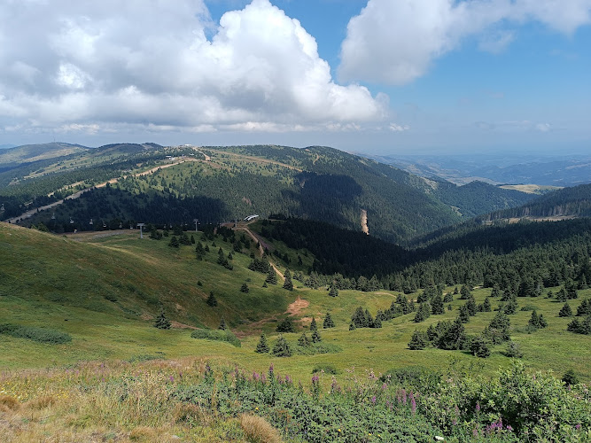 Kopaonik National Park
