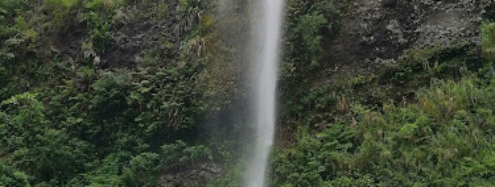 Koroyanitu National Park Travel Forum Reviews