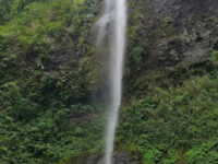 Koroyanitu National Park Travel Forum Reviews