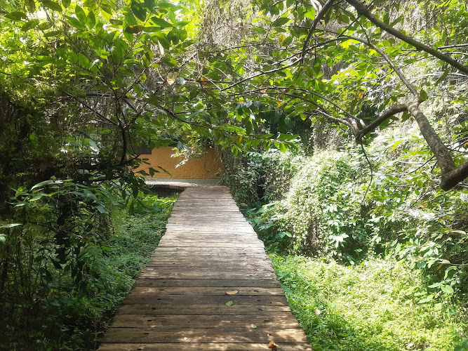Kotte Rampart Wetland Park
