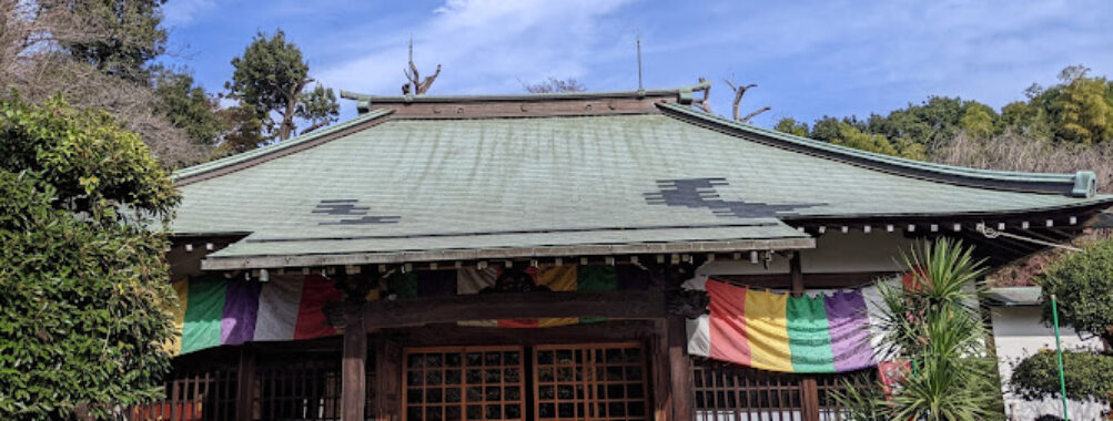 Kozenin Travel Forum Reviews
