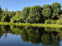 Krasnogorskiy Gorodskoy Park Travel Forum Reviews