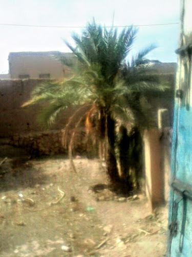 Ksar Targa lakdima