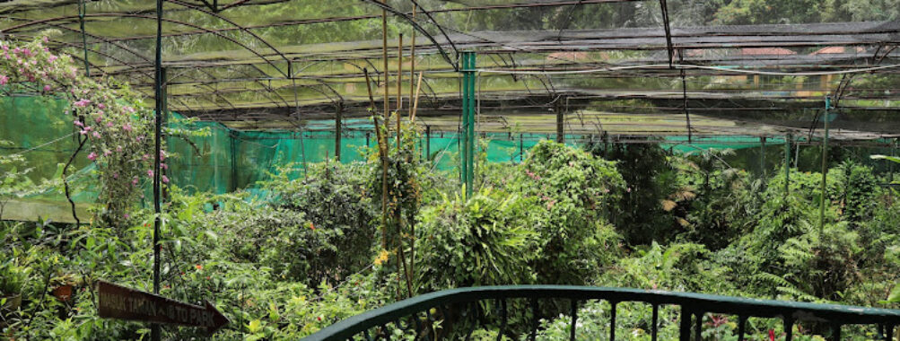 Kuala Lumpur Butterfly Park Travel Forum Reviews