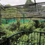 Kuala Lumpur Butterfly Park