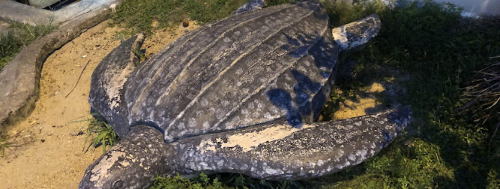 Kuala Terengganu Turtle Sculpture Travel Forum Reviews