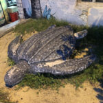 Kuala Terengganu Turtle Sculpture