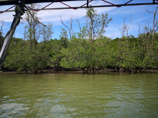 Kuching Wetlands National Park