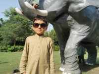 Kund Park Travel Forum Reviews