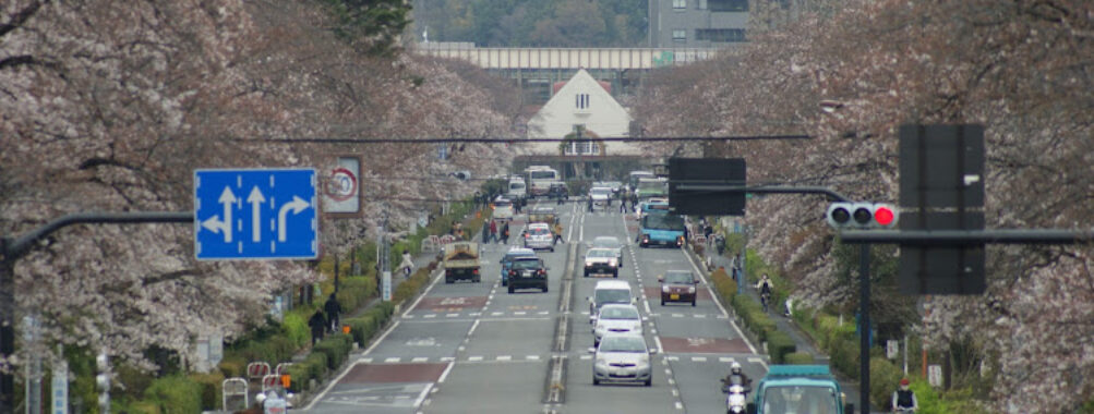 Kunitachi Travel Forum Reviews