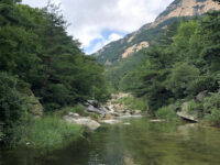 Kunyu Mountain Travel Forum Reviews