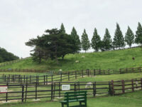 Kuragaike Park Zoo Travel Forum Reviews