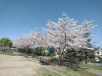 Kusunoki Park Travel Forum Reviews