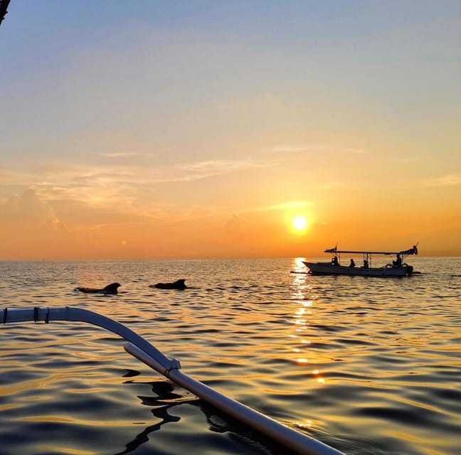 Dolphin watching at dawn in Kuta Beach