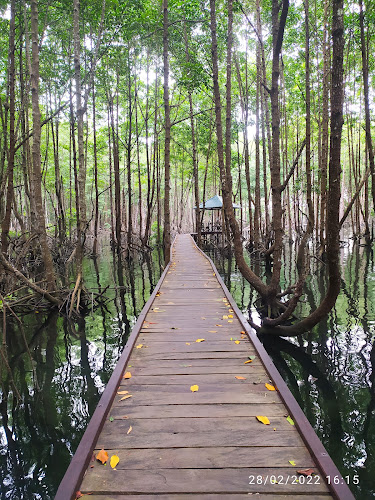 Kutai National Park
