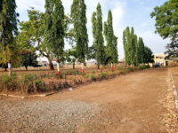 Kwara Amusement Park Travel Forum Reviews
